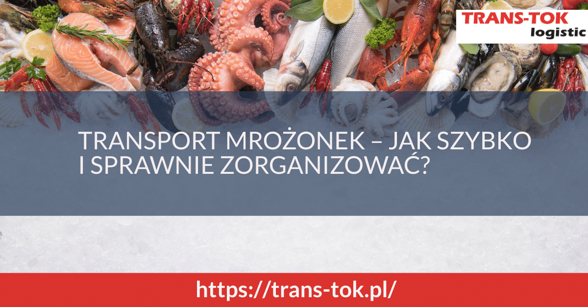 Transport mrożonek – jak szybko i sprawnie go zorganizować?